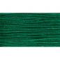 W_BWC_Evergreen15