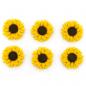 SunflowerButtons