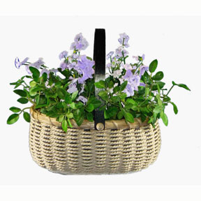 May Flowers