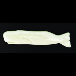 BoneSpermWhale3